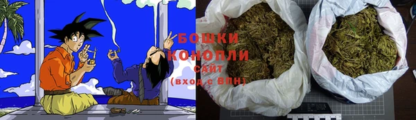 бутират Мегион