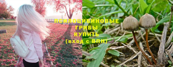 бутират Медвежьегорск