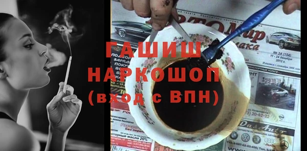 шишки Магас