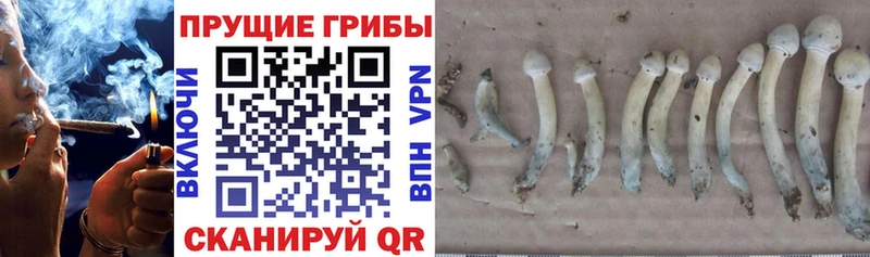 Галлюциногенные грибы GOLDEN TEACHER  Кадников 