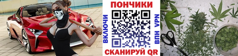 Марихуана сатива  Кадников 